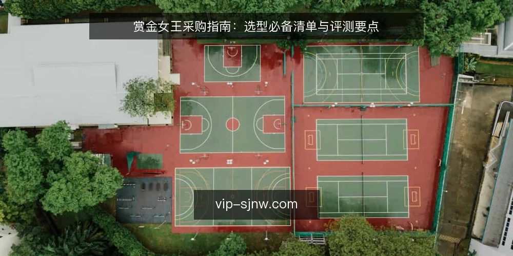 赏金女王采购指南：选型必备清单与评测要点 — 为什么现在需要重新评估赏金女王平台 配图