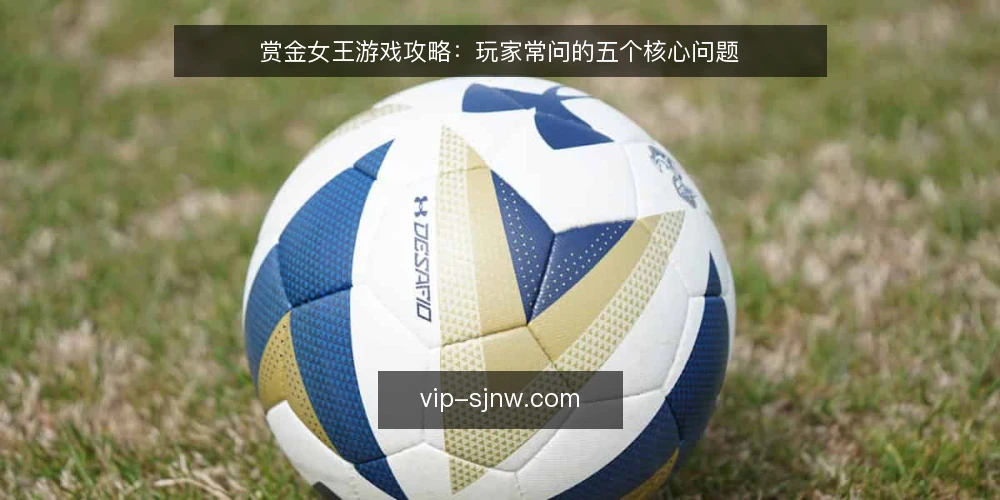 赏金女王游戏攻略：玩家常问的五个核心问题 — 赏金女王是什么？它适合哪些玩家？ 配图