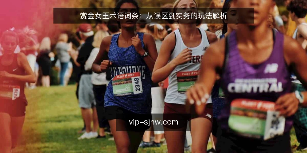 赏金女王术语词条:从误区到实务的玩法解析 — 赏金女王核心术语速览 配图