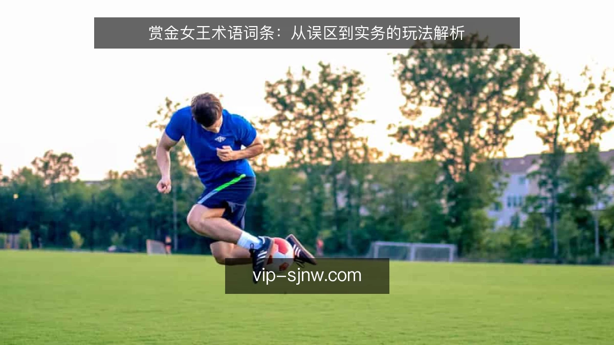 赏金女王术语词条:从误区到实务的玩法解析