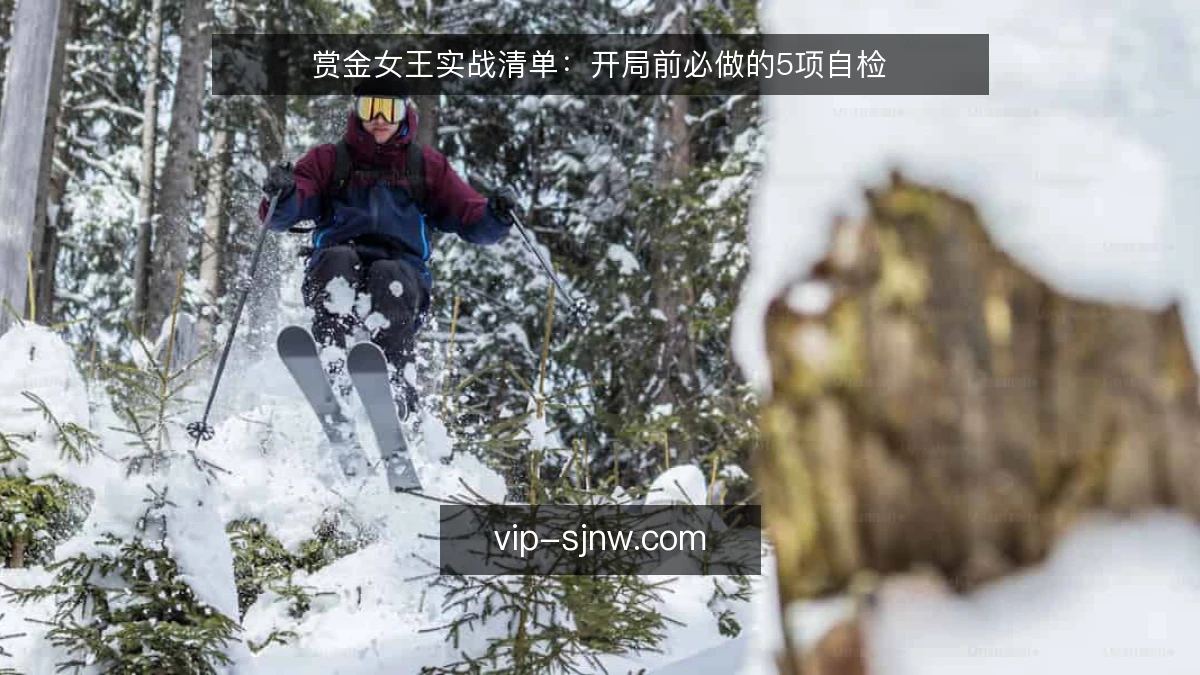赏金女王实战清单:开局前必做的5项自检