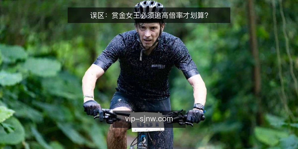 误区:赏金女王必须追高倍率才划算? — 先识别误区:高倍率不等于高回报 配图