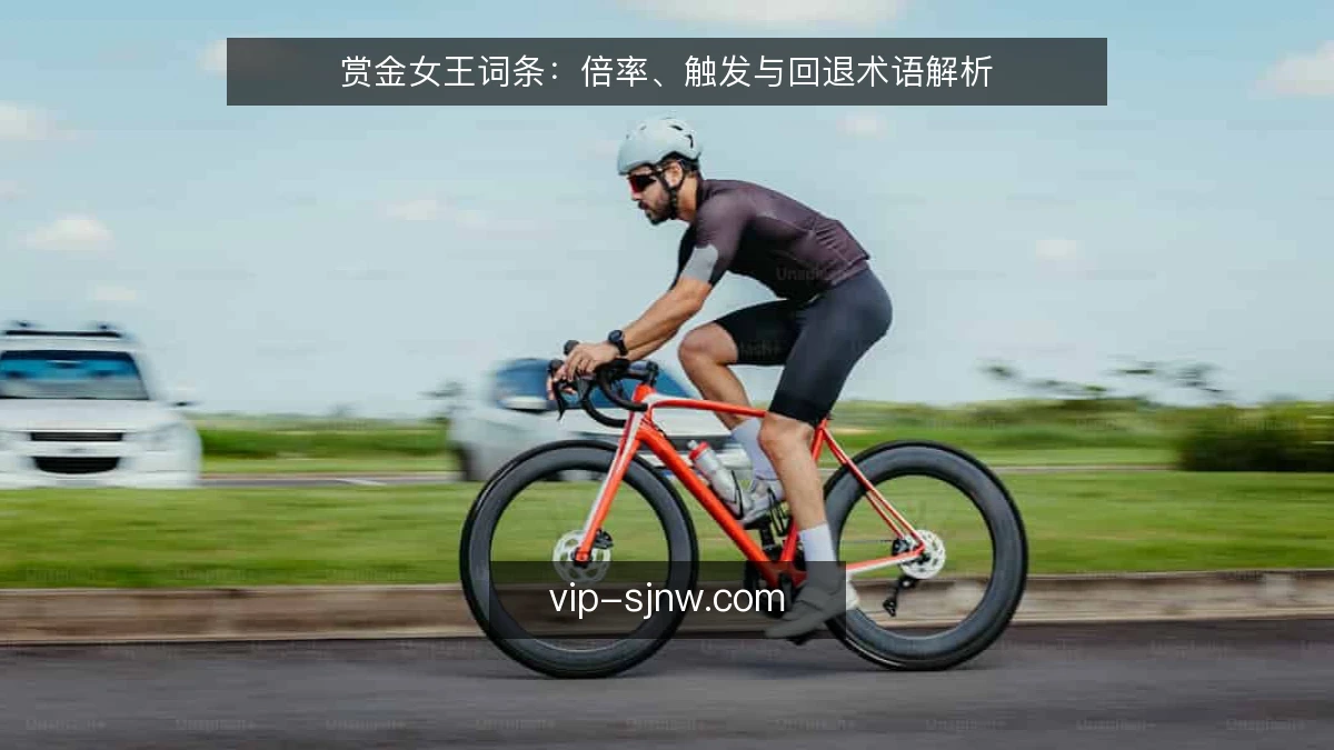 赏金女王词条：倍率、触发与回退术语解析