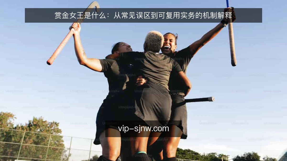 赏金女王是什么：从常见误区到可复用实务的机制解释