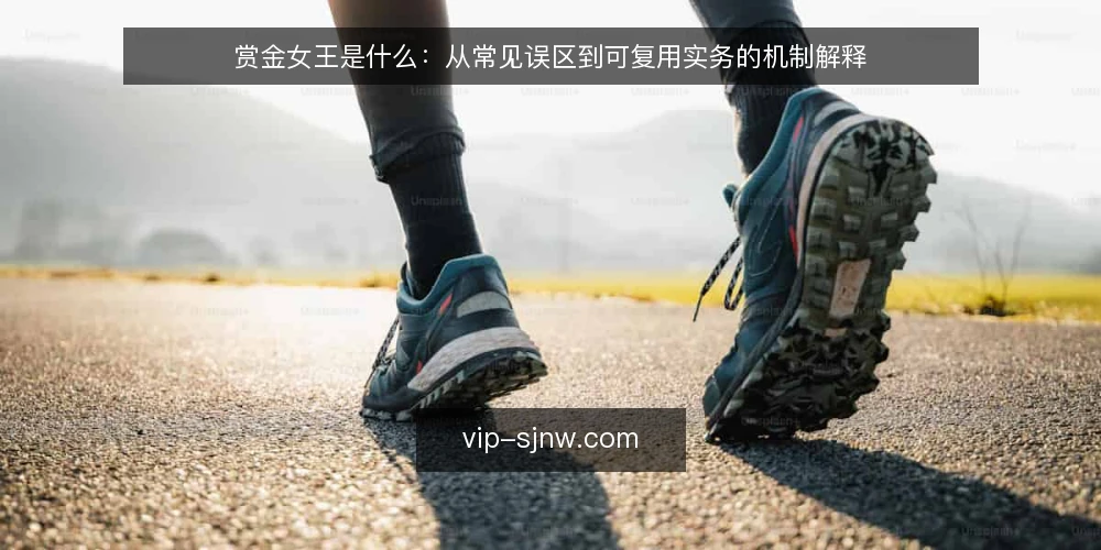 赏金女王是什么：从常见误区到可复用实务的机制解释 — 赏金女王是什么：先界定概念与机制边界 配图